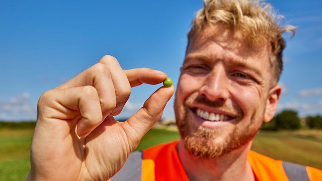 Families reveal peas and broccoli as their ultimate vegetables