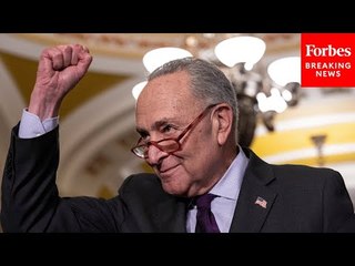 'We're Going To Break Even And Maybe Pick Up A Seat Or Two': Schumer Makes Bold Election Prediction