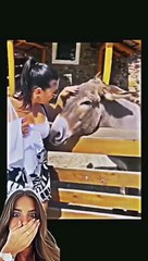 Girls funny video vs wash funny video