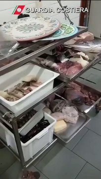 La Capitaneria di porto di Palermo sequestra oltre 7 mila kg di pesce non tracciato