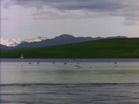 fatal bazouka parle a ma main