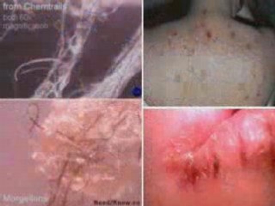 Evolution NWO - Nuovo Ordine Mondiale