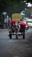 Never Lose Hope: #KeepGoing #StayPositive #Motivation 