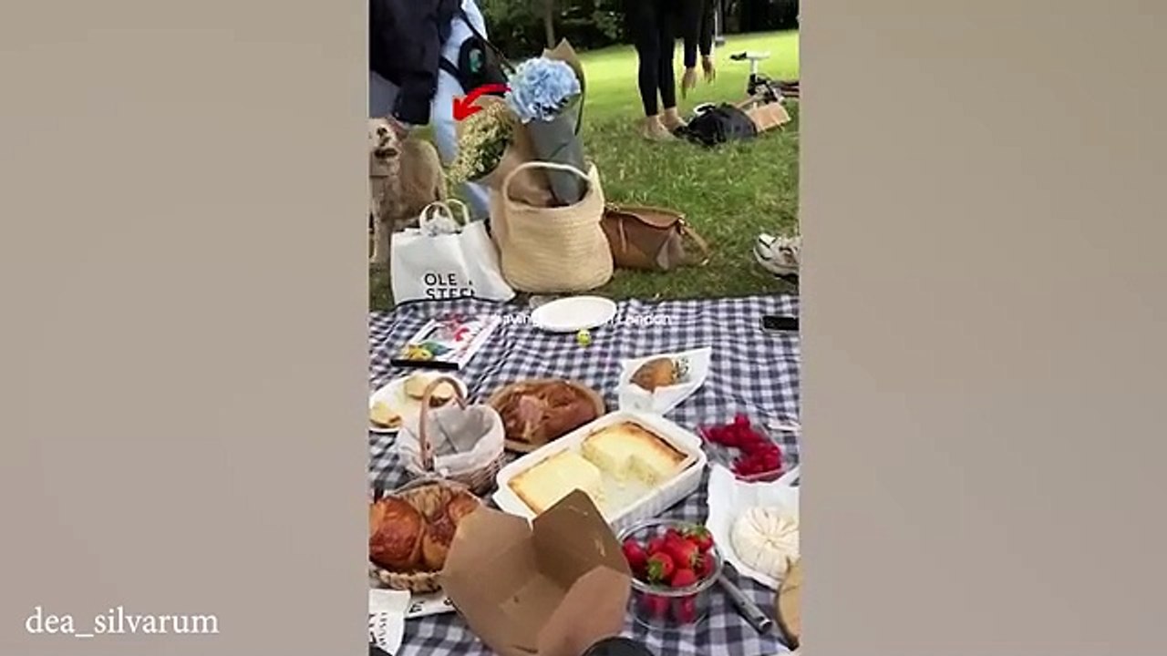 Funny_DOGS_were_probably_having_a_Ruff_Day__Best_Funny_Animals_Videos(360p)