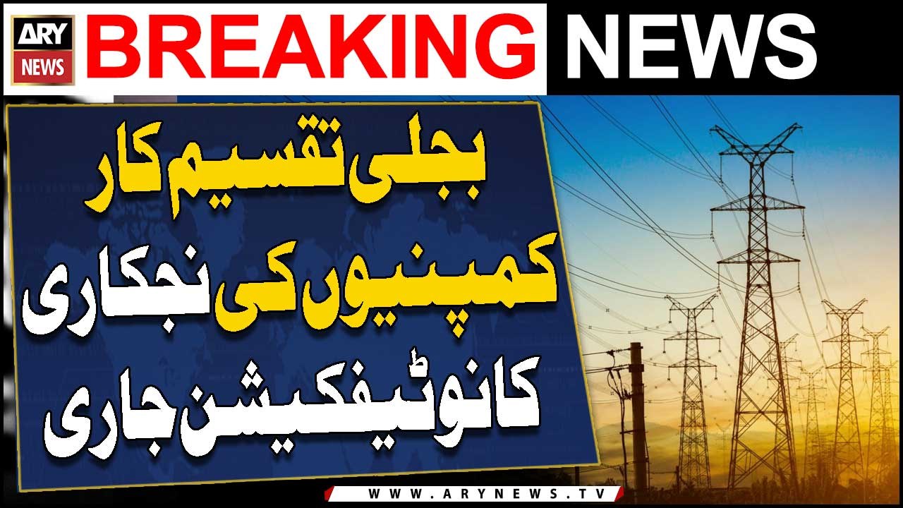 Notification issued for Privatization of electricity distribution companies