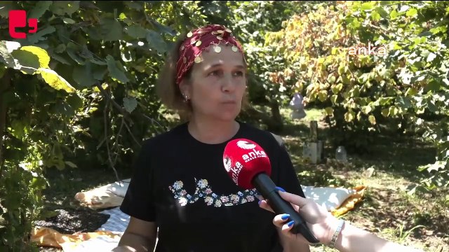 Ordu'daki üreticilerden fındık alım fiyatına tepki...