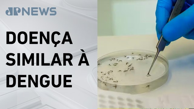 Governo de São Paulo confirma dois casos de febre oropouche