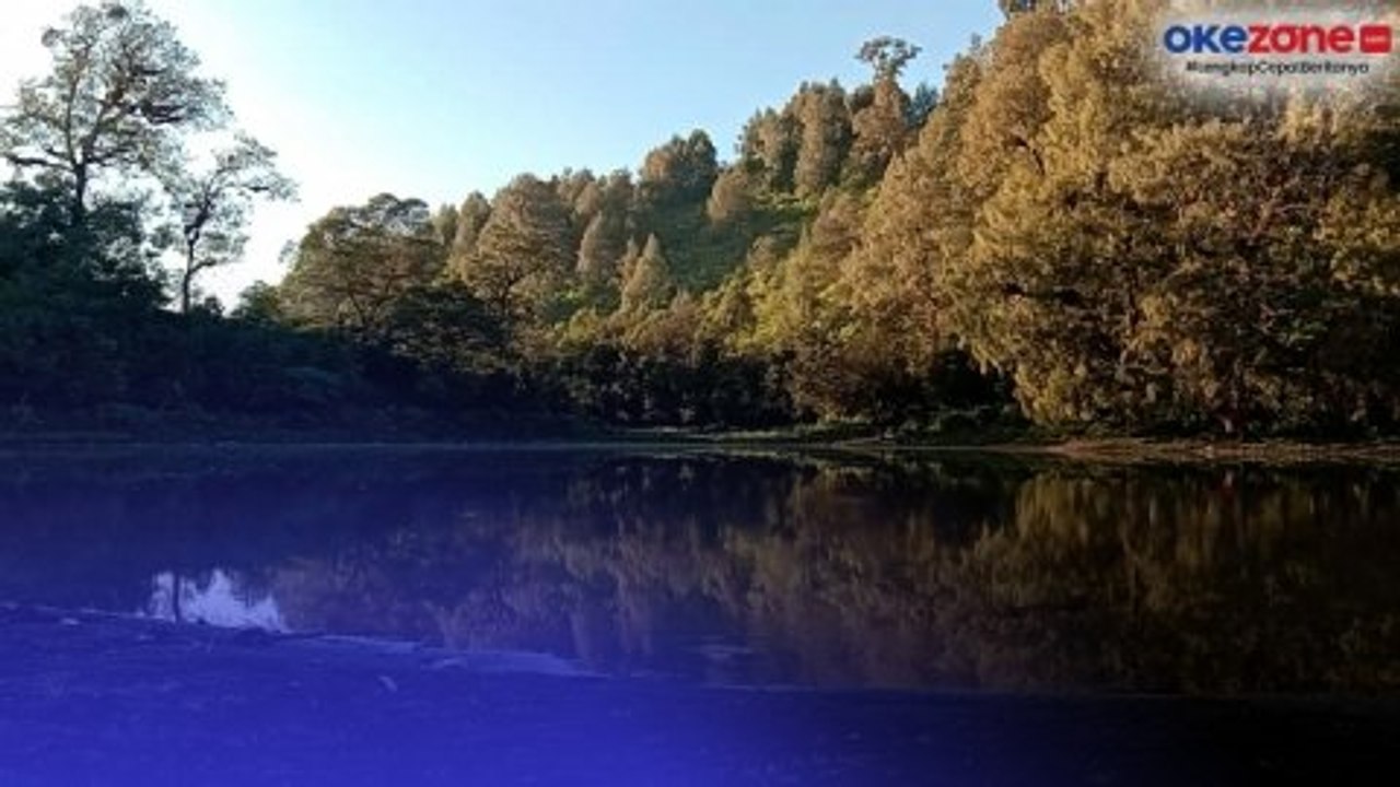 Sensasi Camping di Danau Ranu Pani Lumajang, Me...