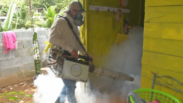 Autoridades de salud realizan operativos contra el dengue en la capital