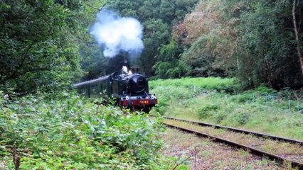 Steam Engine Train