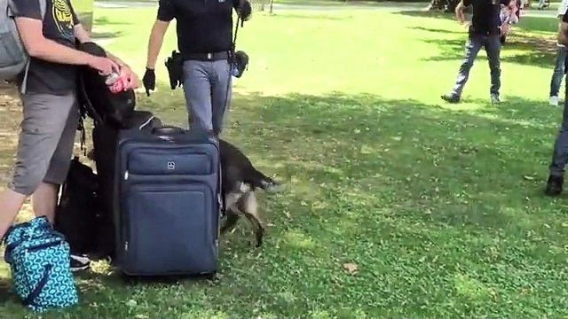 Droga, controlli della questura a Trento: due arresti e oltre 130 identificati