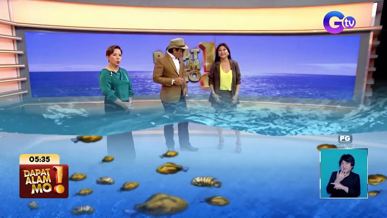 Golden tilapia, perwisyo ang hatid sa mga mangingisda sa Laguna | Dapat Alam Mo!