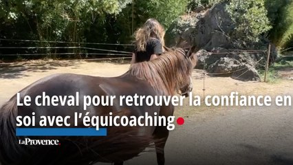 Le cheval pour favoriser le développement personnel avec l’équicoaching