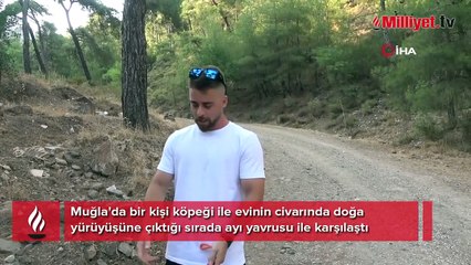Köpeği ile gezerken yavru ayı ile karşılaştı