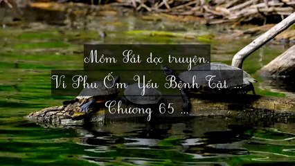Mới 2024 Chương 65-72: Vi Phu Ốm Yếu Bệnh Tật