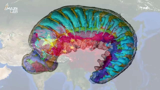 520-Million-Year-Old Fossil Found With Its Internal Anatomy Intact