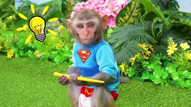 Monkey Baby Bon Bon eat sausage jelly and naughty with ducklings in the swimming pool