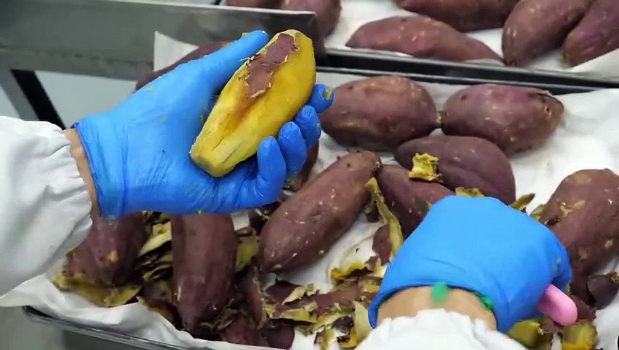Food Kingdom - Sweet potatoes, bread! Mass production of sweet potato bread with a fantastic combination of chewy and sweet ⧸ Korean bread