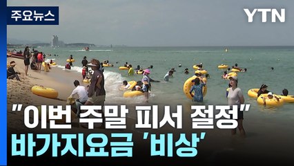 "이번 주말 피서 절정"...해파리·바가지요금 '비상' / YTN