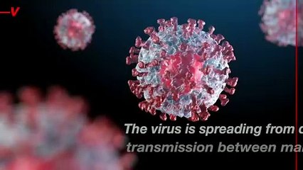 Mammal-to-Mammal Bird Flu Transmission Confirmed by Scientists