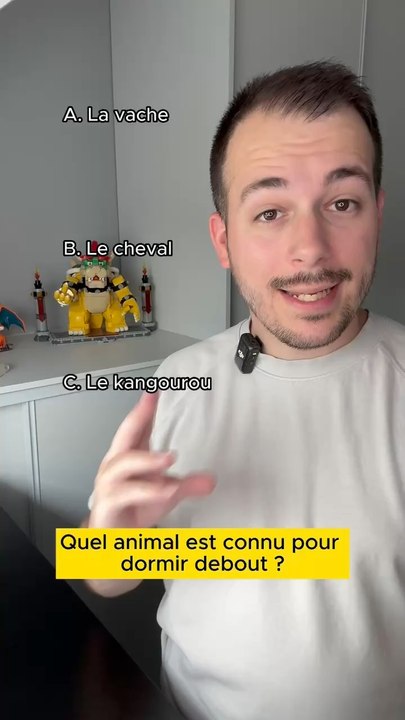 Quiz de culture générale sur les animaux