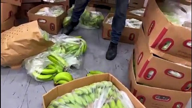 Descomisan 663 láminas de cocaína camufladas en cajas cargadas de banano en Puerto Caucedo