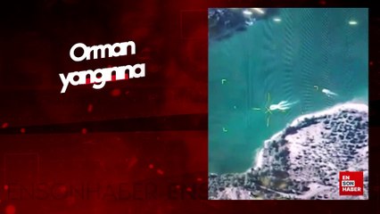Adana'da orman yangınına müdahale eden helikopter suya düştü