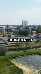 6 ans sans aller au travail 