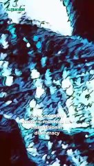 Largest Prisoner Swap Between West And Russia After Cold War