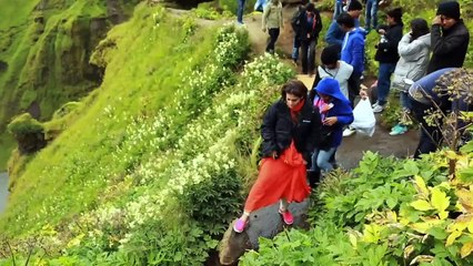 Dilwale Kajol, Shah Rukh Khan -