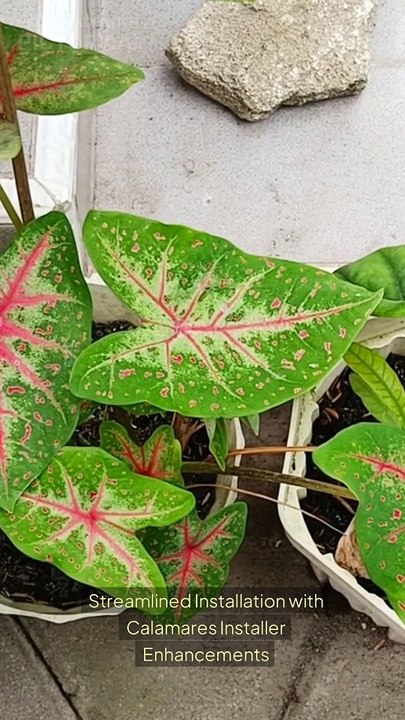 Say Goodbye to Microsoft Windows 11: Nitrux Linux 3.6.0 is the Open Source Operating System You Need!