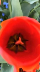 The beautiful park view