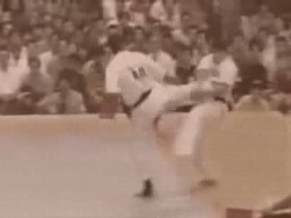 karate Kyokushin Vidéo Dailymotion