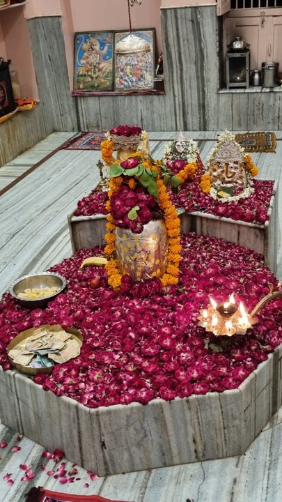 सिद्धि योग, रवि पुष्य योग, सर्वार्थ सिद्धि योग व पुष्य नक्षत्र के शुभ संयोगों में कल मनेगी हरियाली अमावस