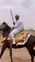 فن التبوريدة، المغرب