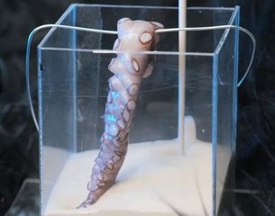 Ocean chic jewelry to make you feel like a mermaid!