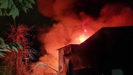 과천 콩나물 재배공장에서 불...건물 절반 불타 / YTN