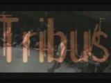 Tribus 2008