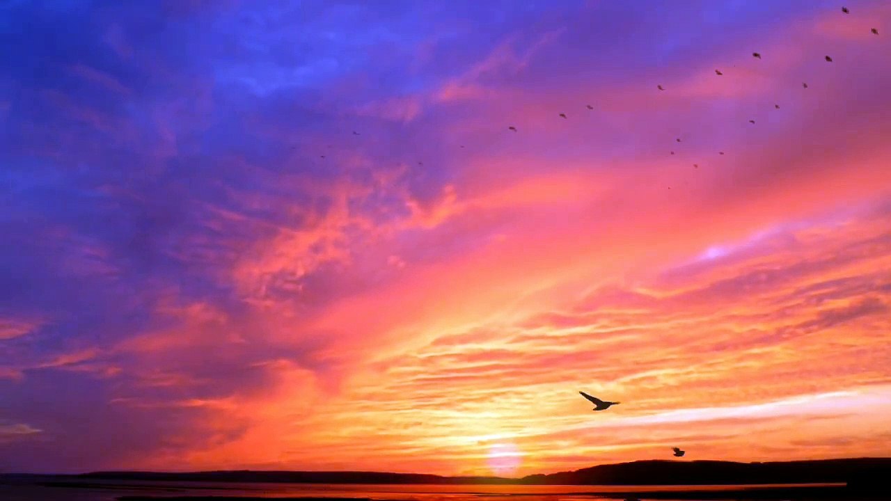 Beautiful Sunrise Video with birds _ Early morning time Lapse(720P_HD)