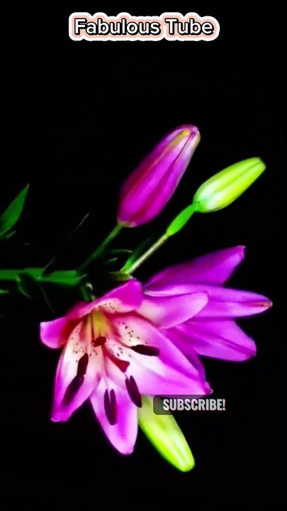 Motivational Story in English | short stories #shortstories #shorts #lifelesson #mindset #wisdom