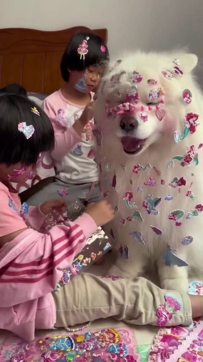 Kids play with our dog with sticker