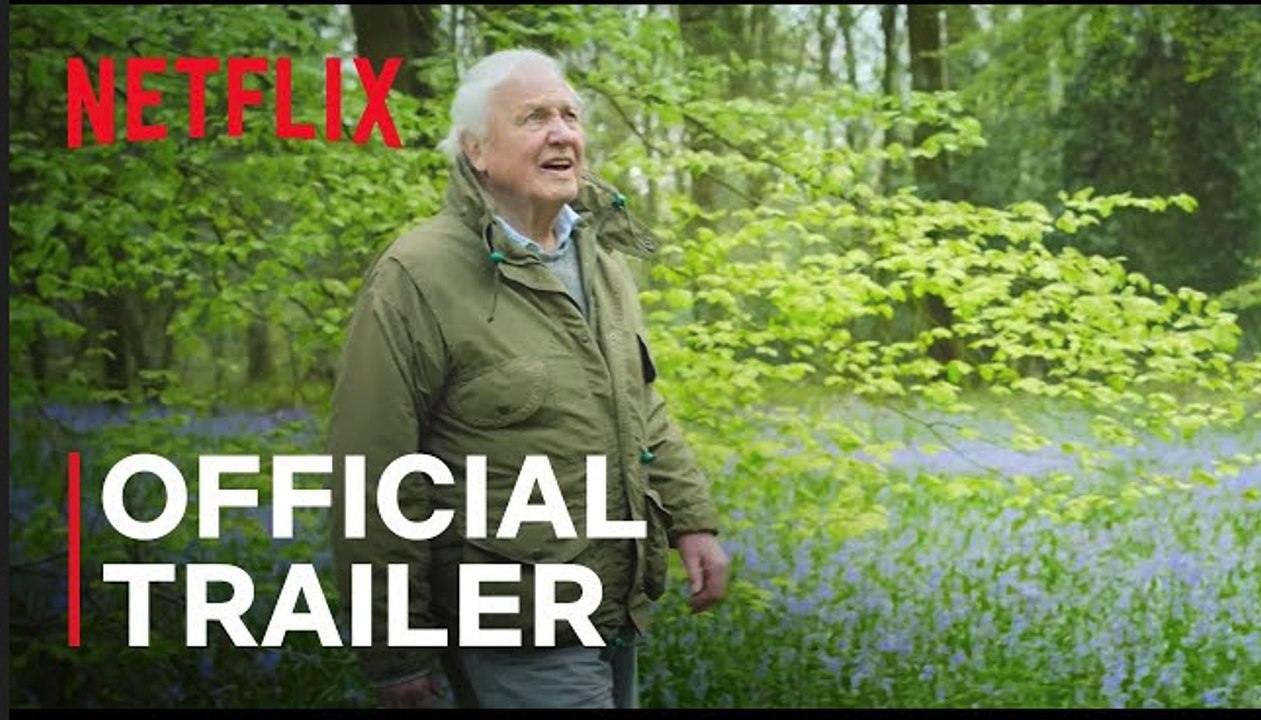 Secret World of Sound with David Attenborough | Official Trailer - Netflix