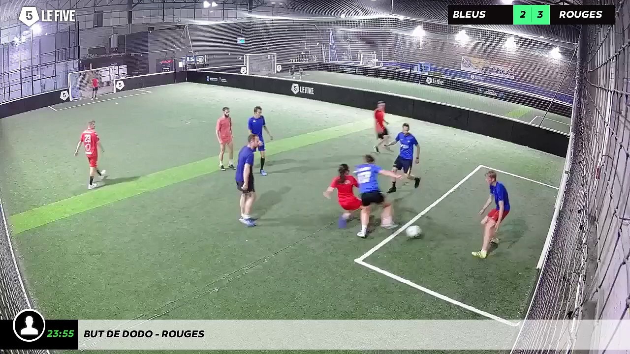 But de Dodo - ROUGES