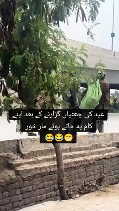 When Life Gets Hilariously Out of Control