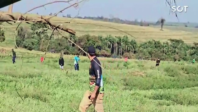 Produtores tentam trabalhar em lavouras, mas são ameaçados de morte por invasores em Terra Roxa