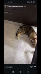 Ecco dove stanno aspettano che vado a letto