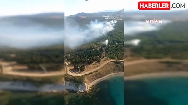 İzmir Aliağa'da TÜPRAŞ Ormanı'nda Yangın Çıktı