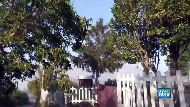 Ancora incendi a Roma, in fiamme area boschiva a Castelnuovo di Porto