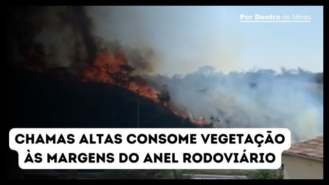 Chamas altas consome vegetação às margens do Anel Rodoviário, em BH