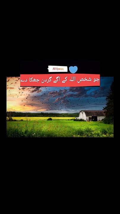 جو_شخص_اللہ_کے_اگے_گردن_جھکا_دے_#shortsfeed_#shorts_#quranictranslation_#pakistan_#india_#short(720p)